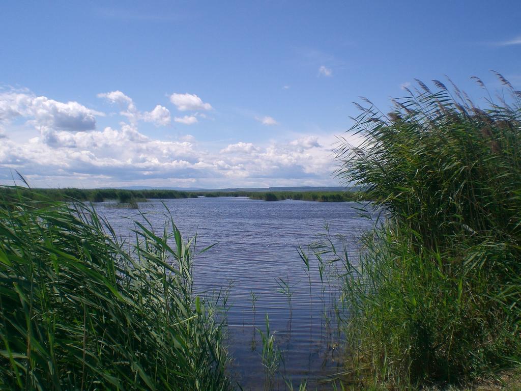 Ferienwohnungen Feldsee Illmitz Buitenkant foto