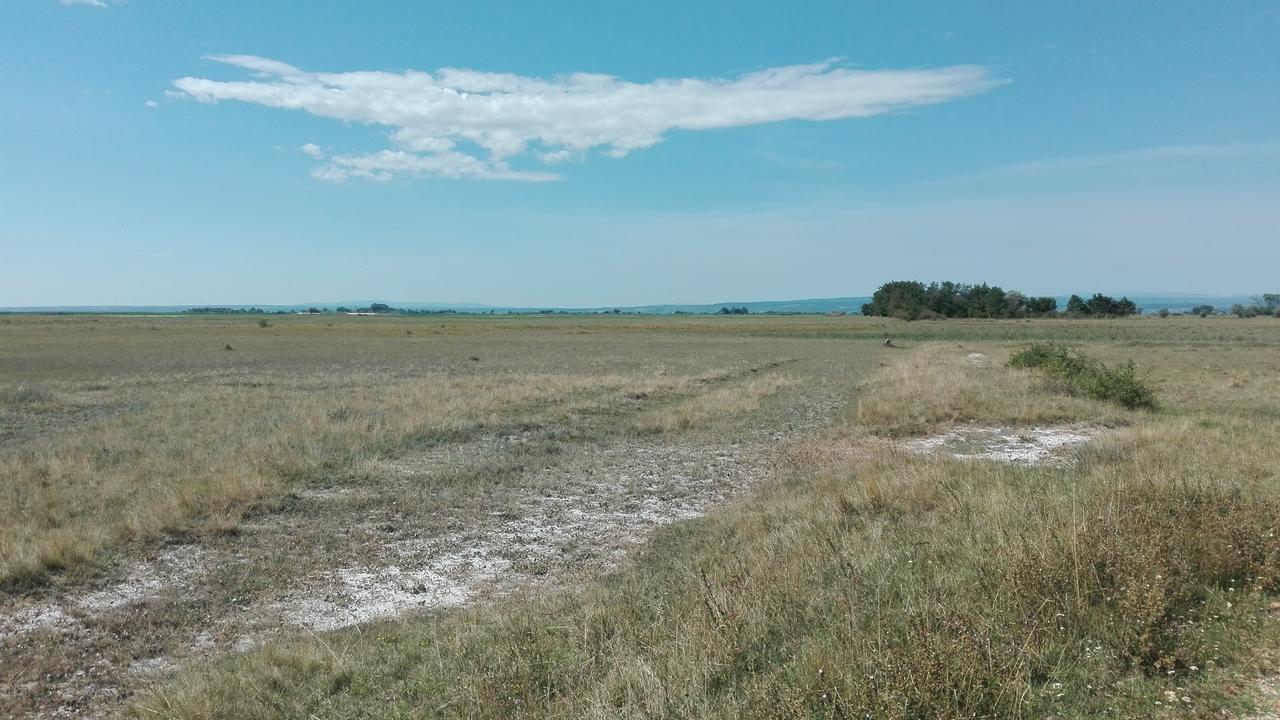 Ferienwohnungen Feldsee Illmitz Buitenkant foto