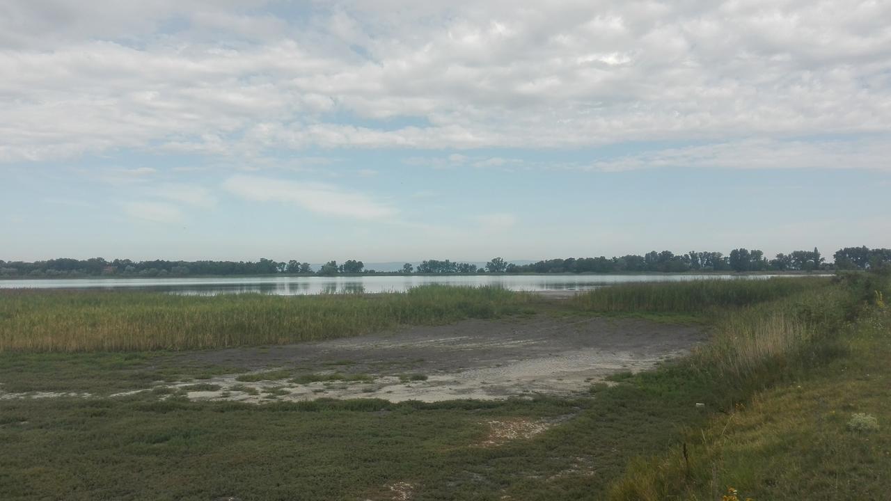 Ferienwohnungen Feldsee Illmitz Buitenkant foto