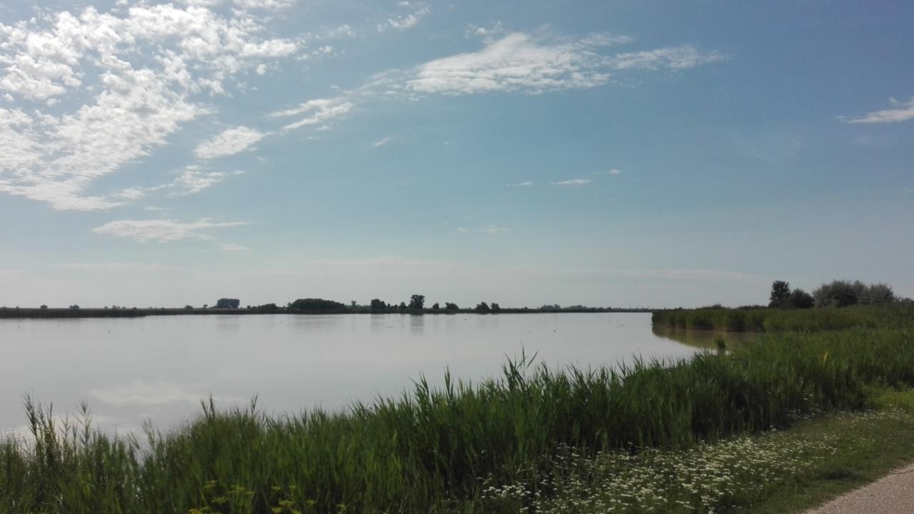 Ferienwohnungen Feldsee Illmitz Buitenkant foto